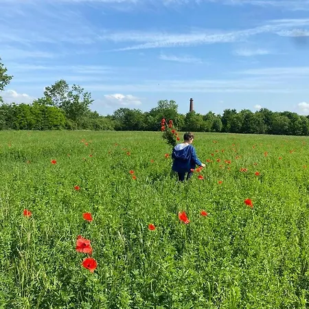 Séjour à la ferme La Fornace Alexandrie