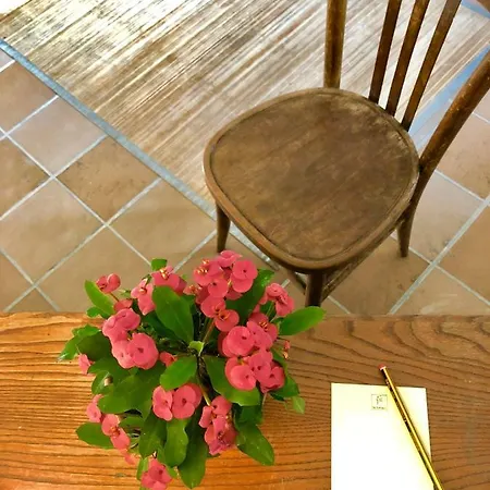 La Fornace Alexandrie